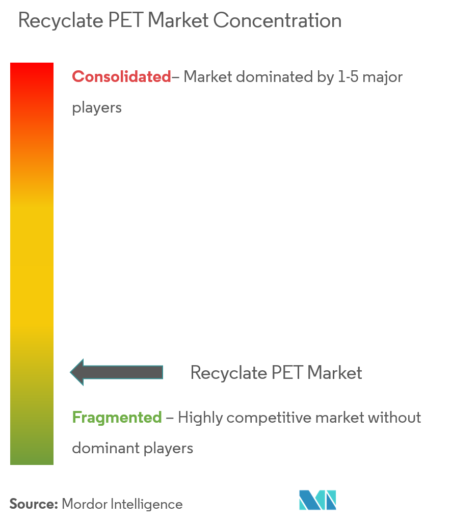 Recyclate PET Market - Market Concentration